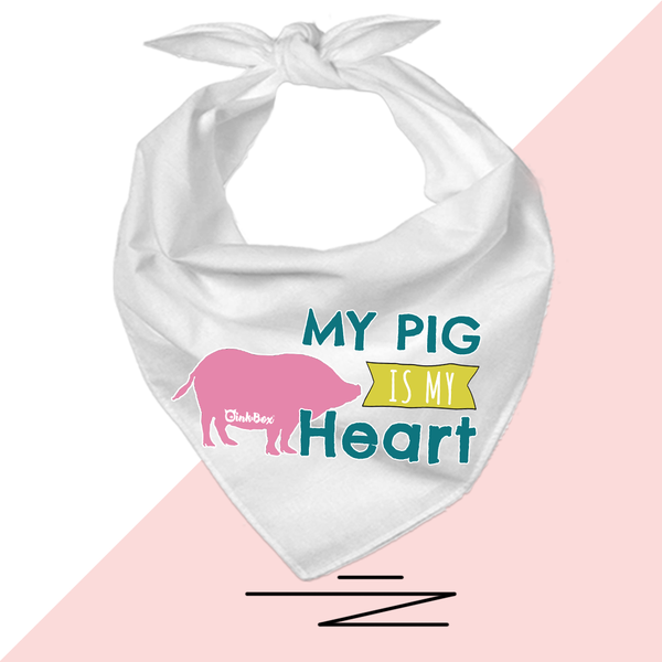 36" Piggy Triangle Bandannas (select a design)