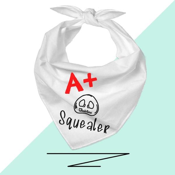 36" Piggy Triangle Bandannas (select a design)