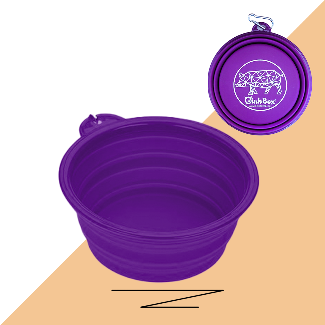 Collapsible Water Bowl OinkBox