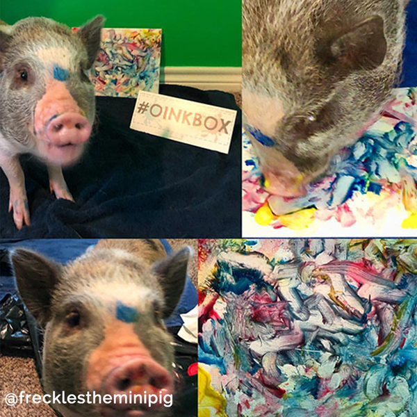 6 Piece Snoot Art Piggy Paint Kit