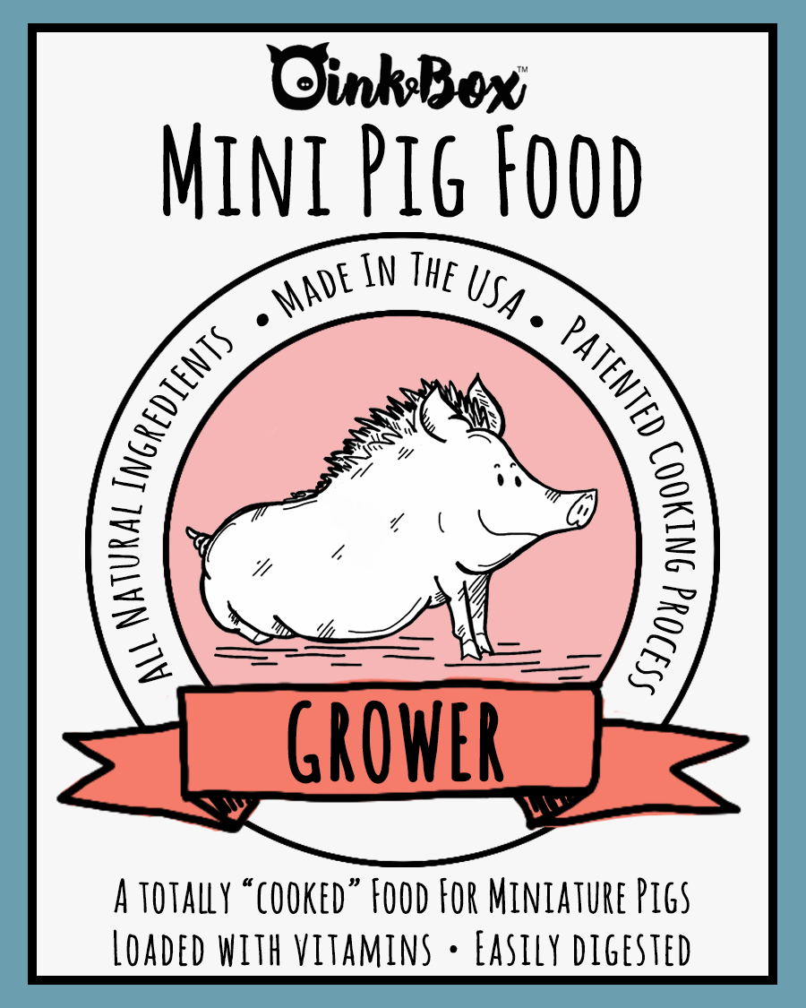 Pot belly pig sales food near me