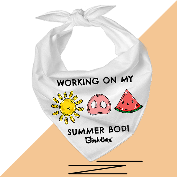 36" Piggy Triangle Bandannas (select a design)