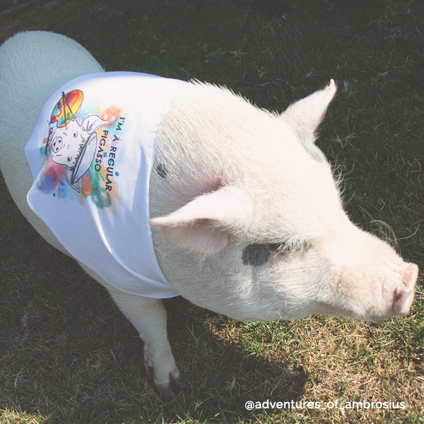 6 Piece Snoot Art Piggy Paint Kit