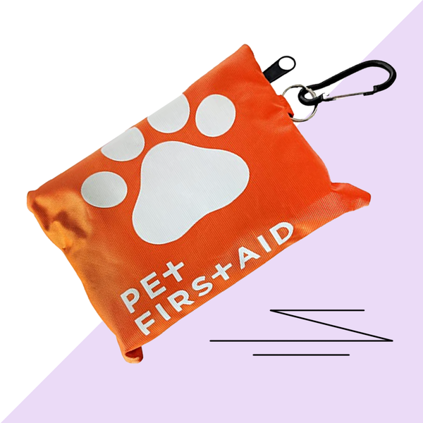 Piggy First Aid Kit