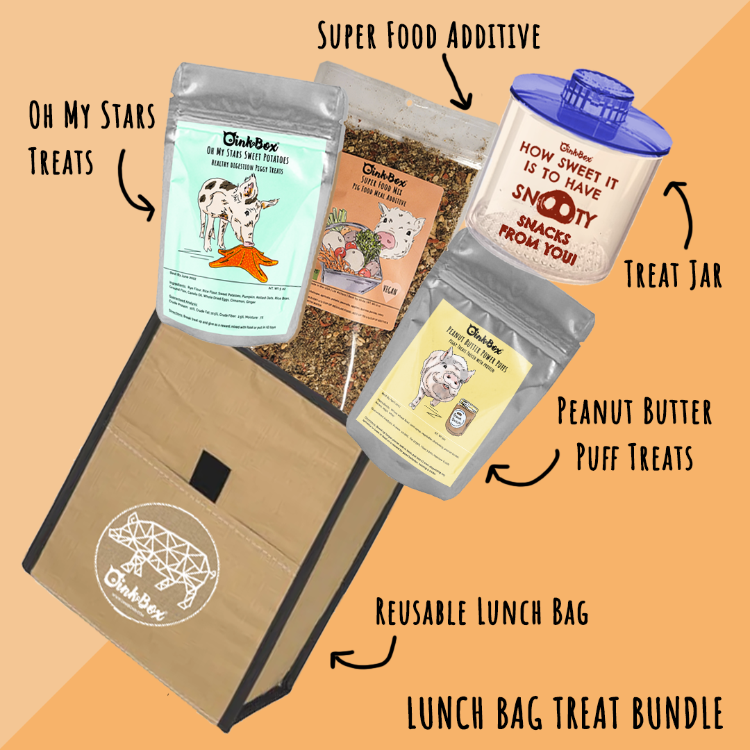 Lunch Bag Piggy Treat Bundle