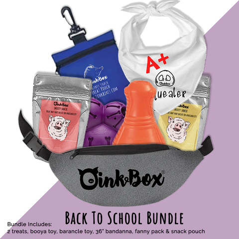 Back To School Bundle