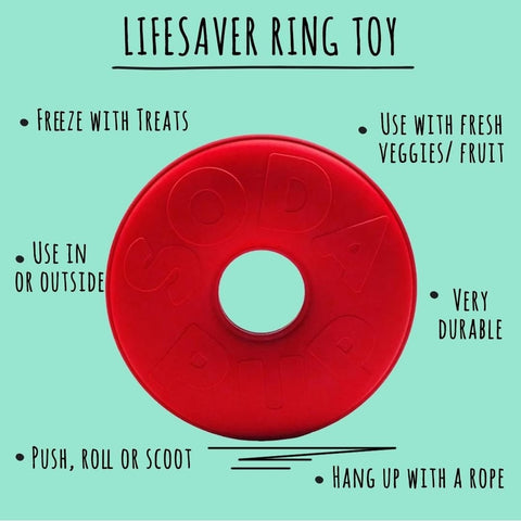 Lifesaver Ring Treat Dispensing Mini Pig Toy