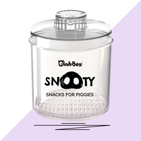 Snooty Snack Piggy Treat Jar